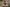 Designer Checkout: HeyTVM - Autotype