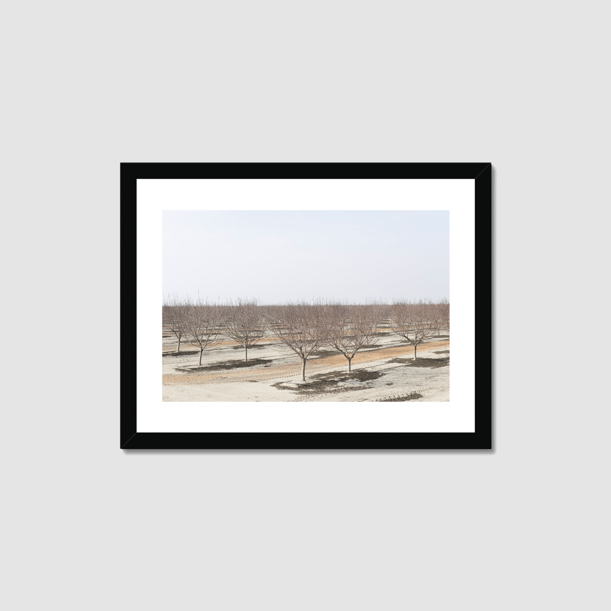 Drive the Five #8 Framed Print