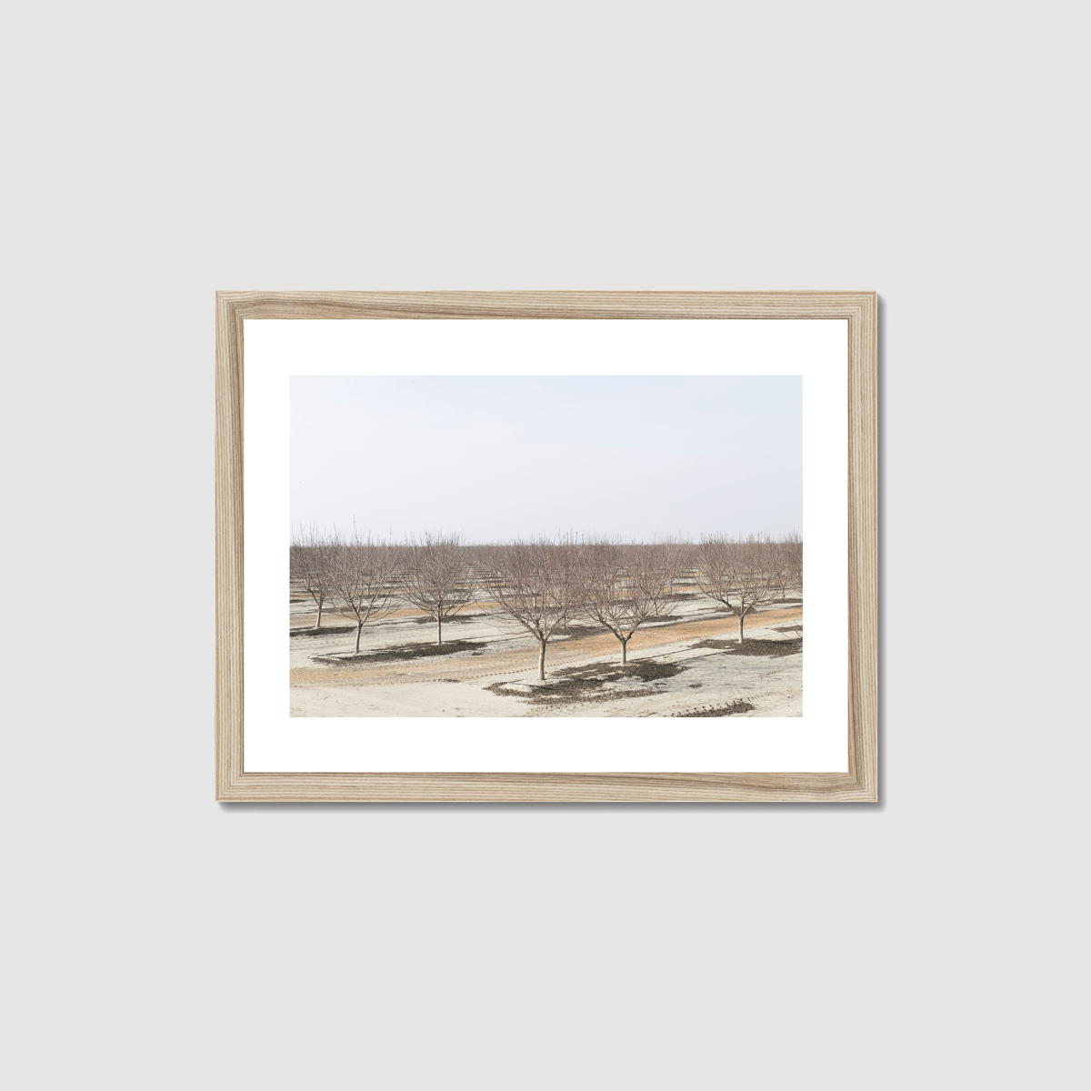 Drive the Five #8 Framed Print