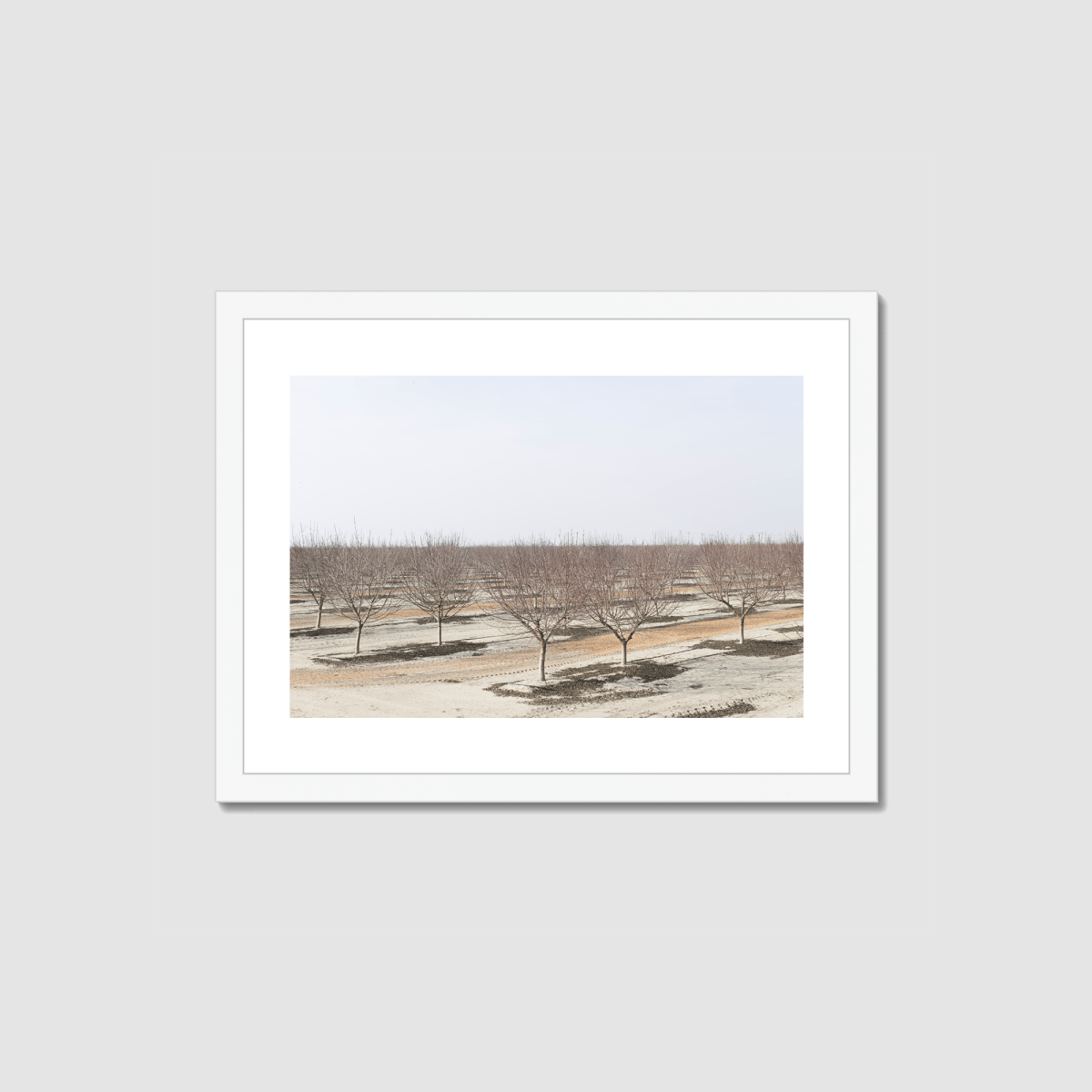Drive the Five #8 Framed Print