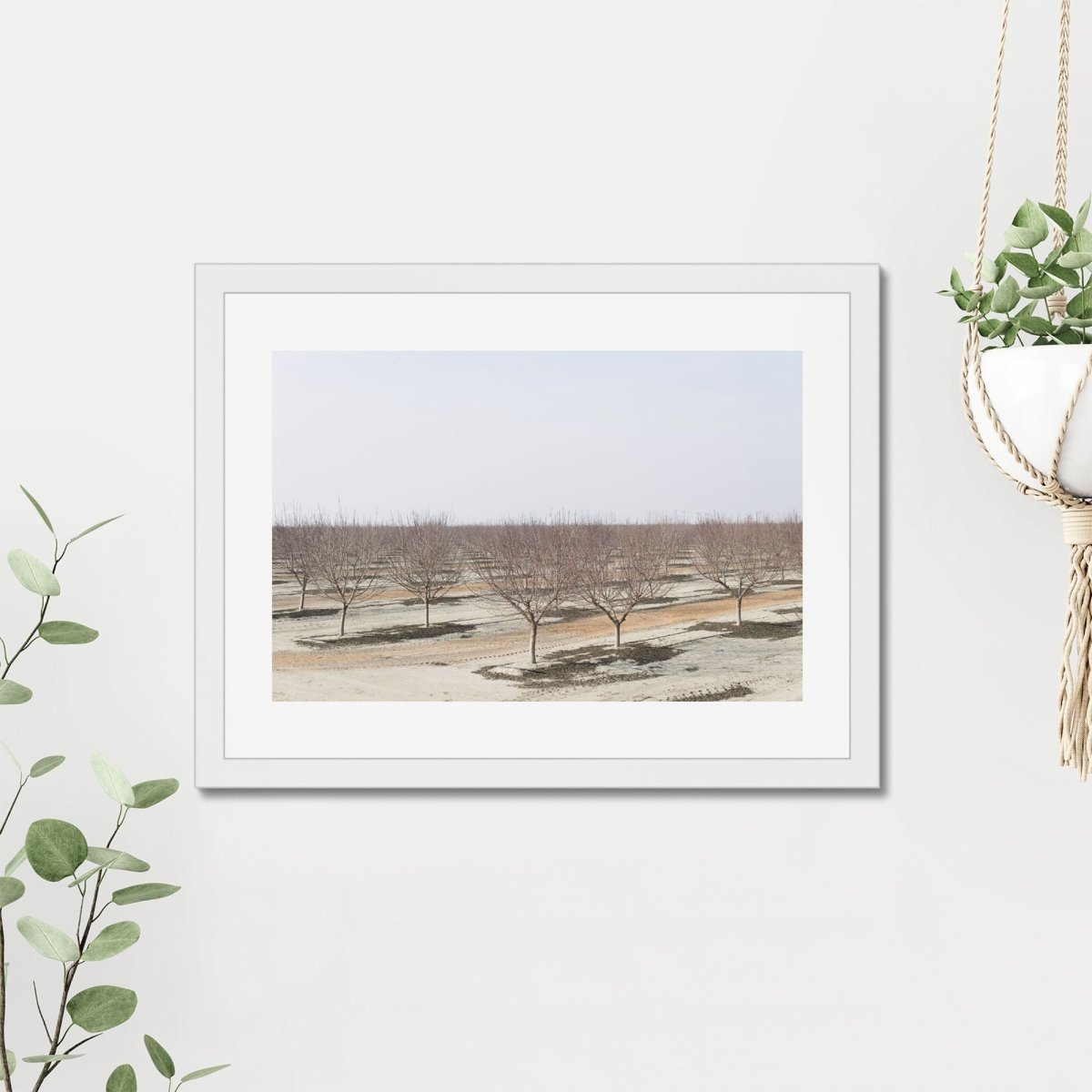 Drive the Five #8 Framed Print