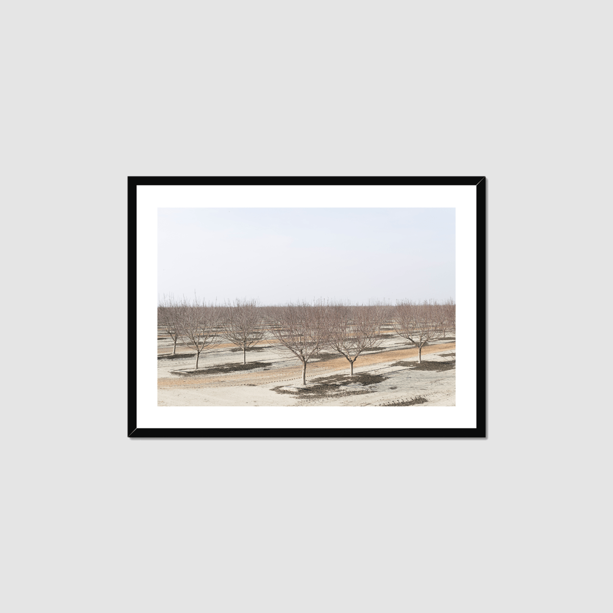 Drive the Five #8 Framed Print