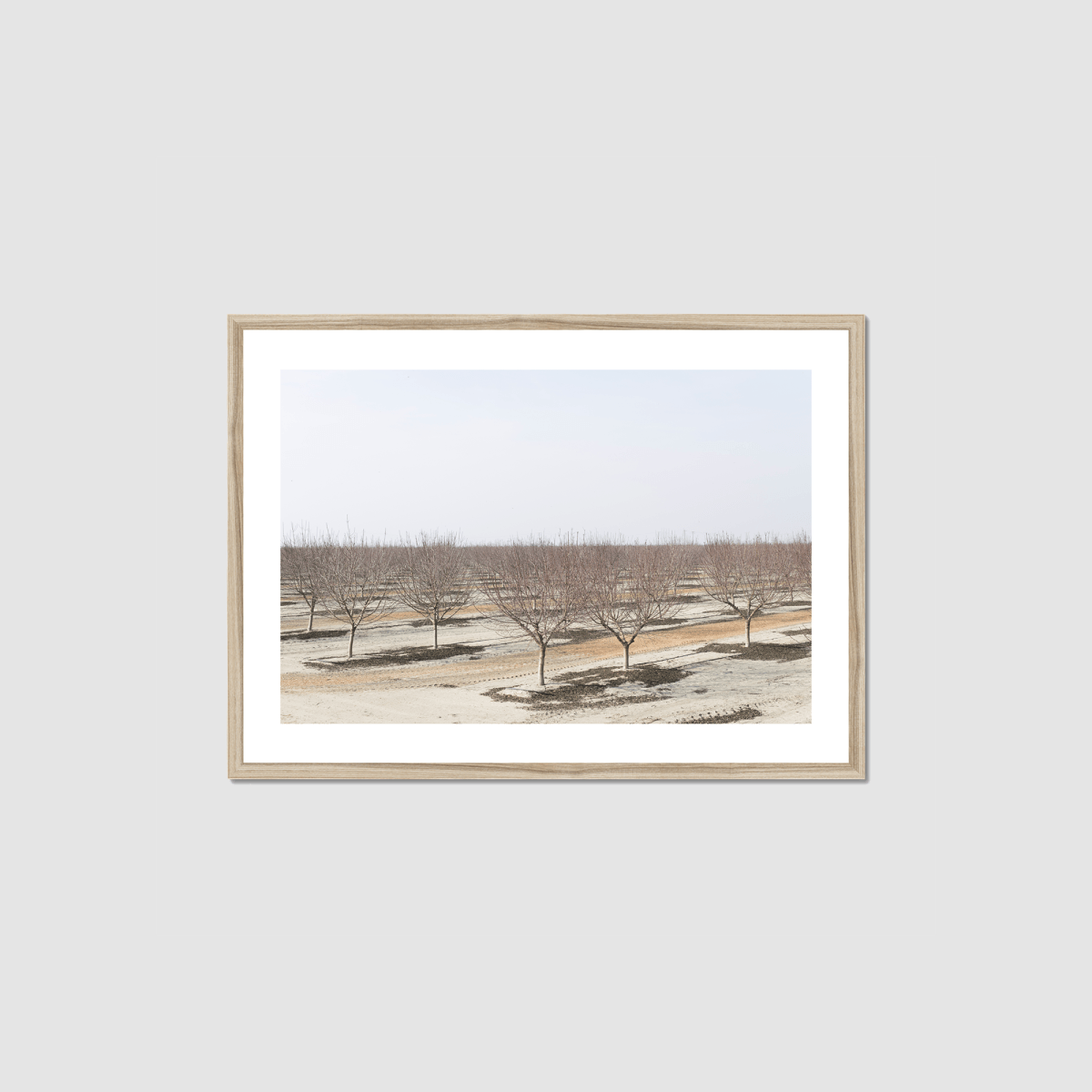 Drive the Five #8 Framed Print