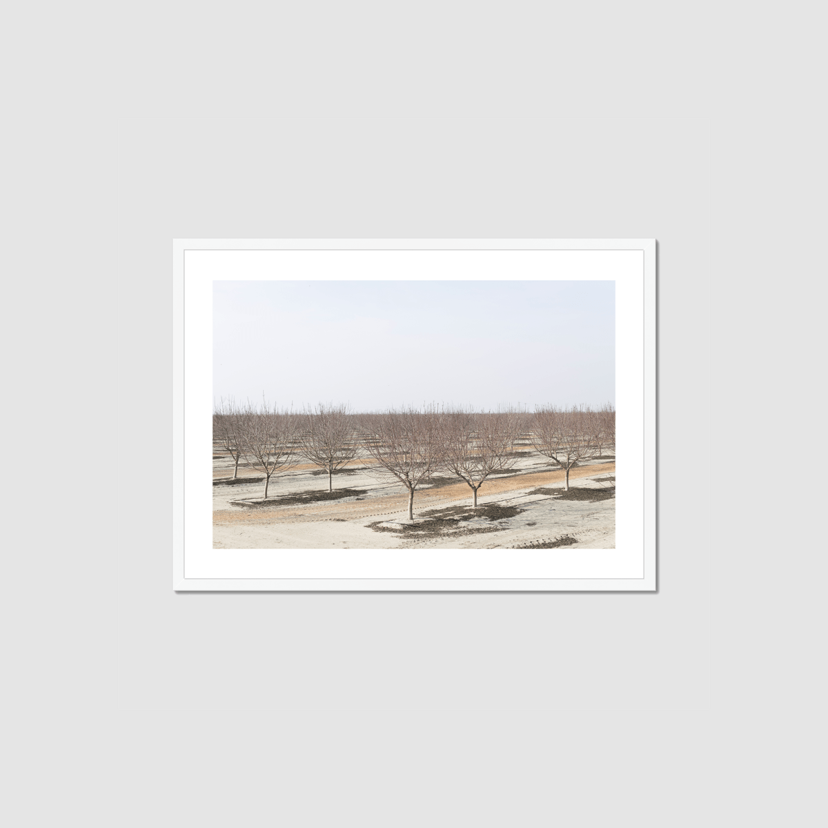 Drive the Five #8 Framed Print