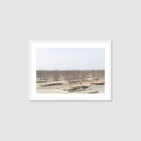 Thumbnail for Drive the Five #8 Framed Print