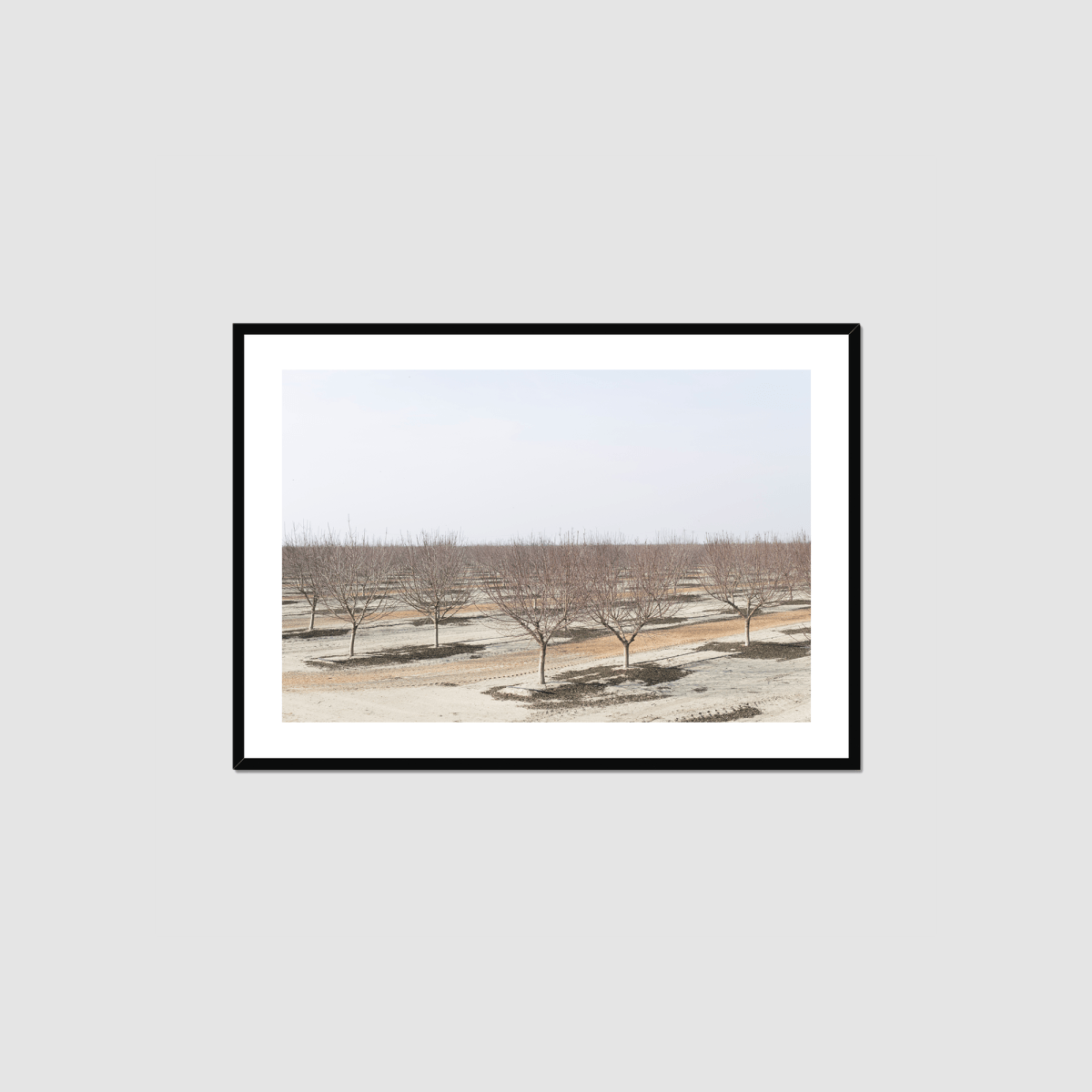 Drive the Five #8 Framed Print