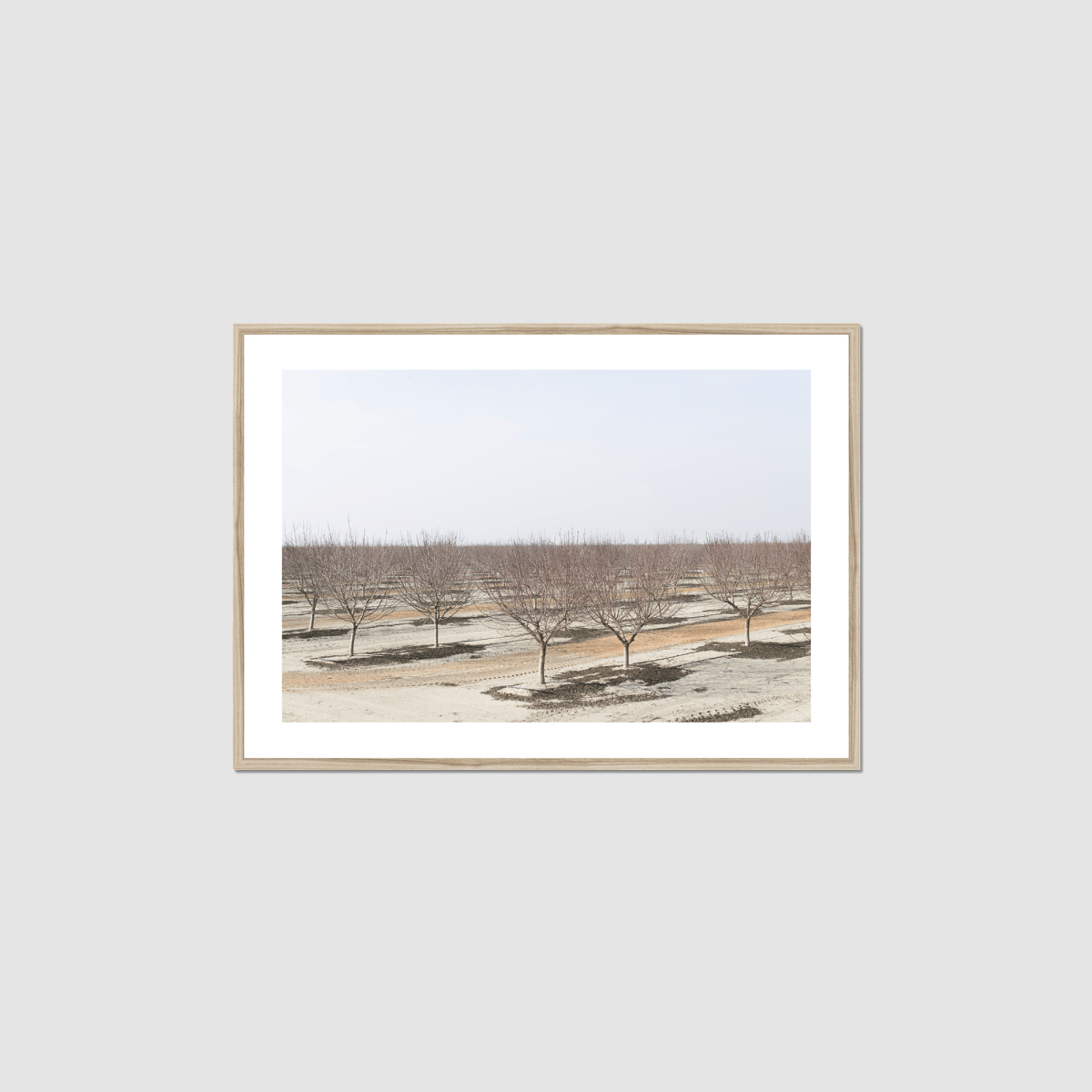 Drive the Five #8 Framed Print