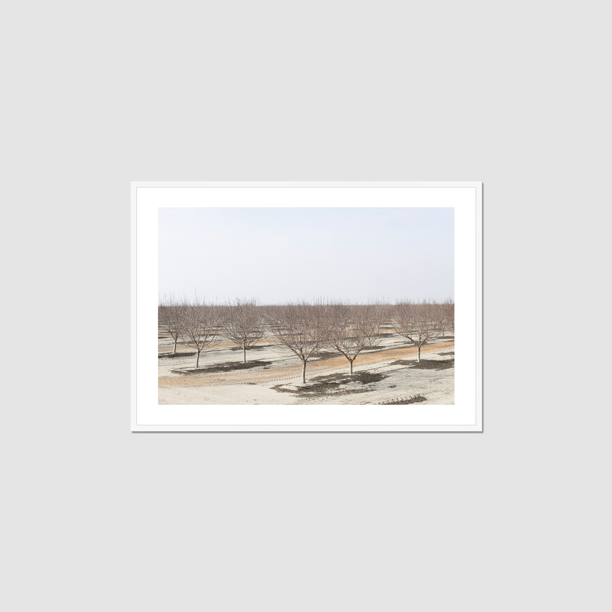 Drive the Five #8 Framed Print