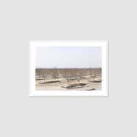 Thumbnail for Drive the Five #8 Framed Print