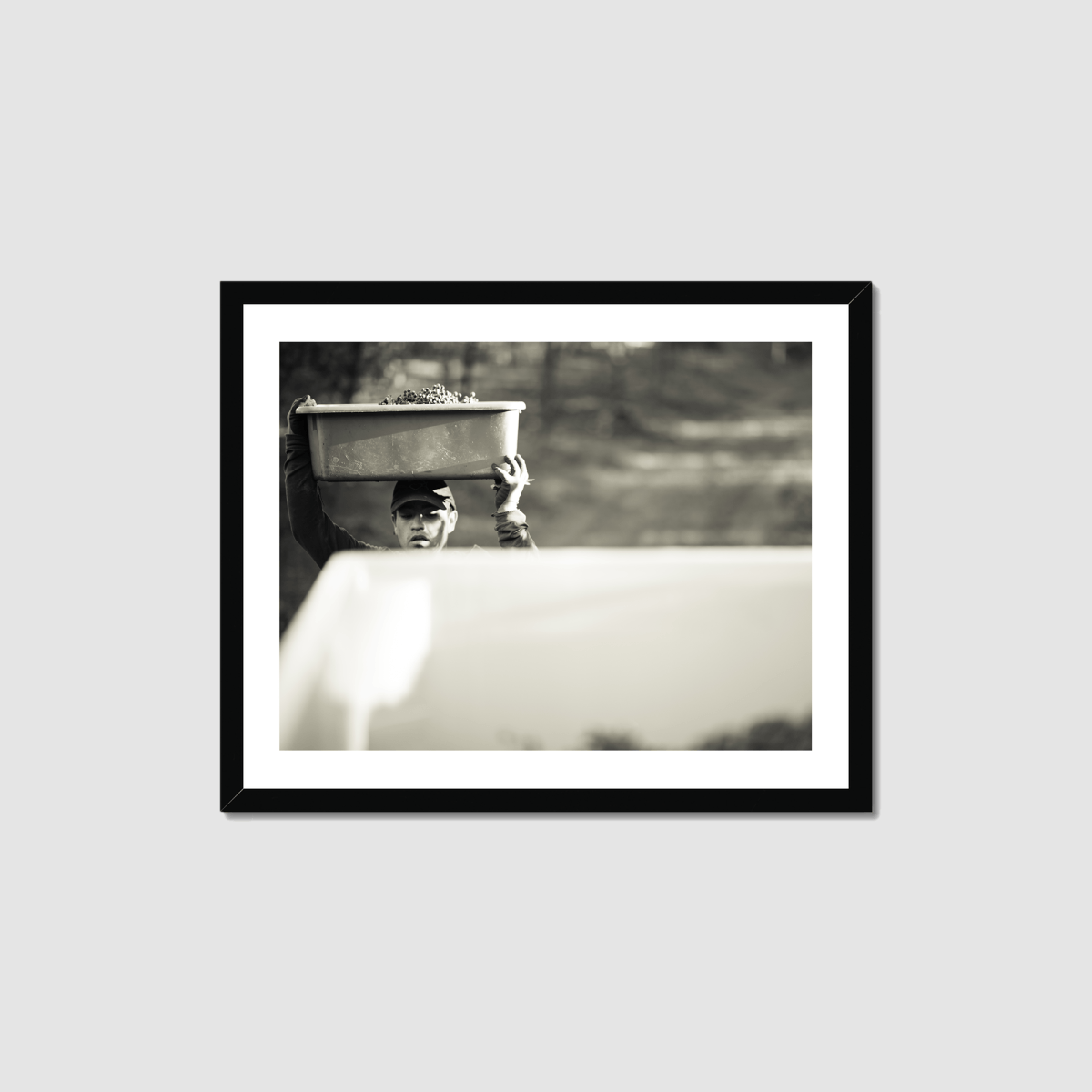 Harvest Morning Framed Print