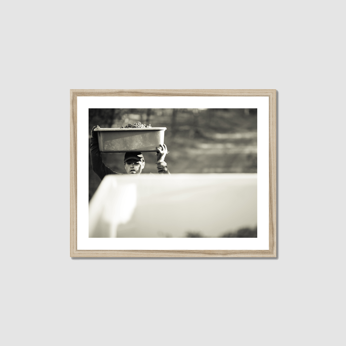 Harvest Morning Framed Print