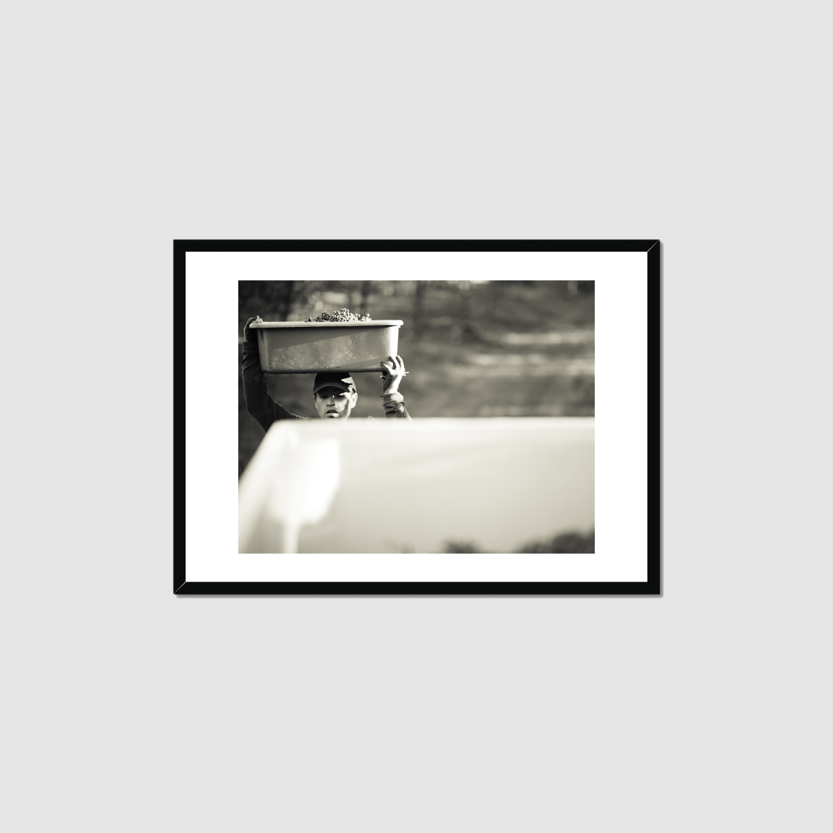Harvest Morning Framed Print