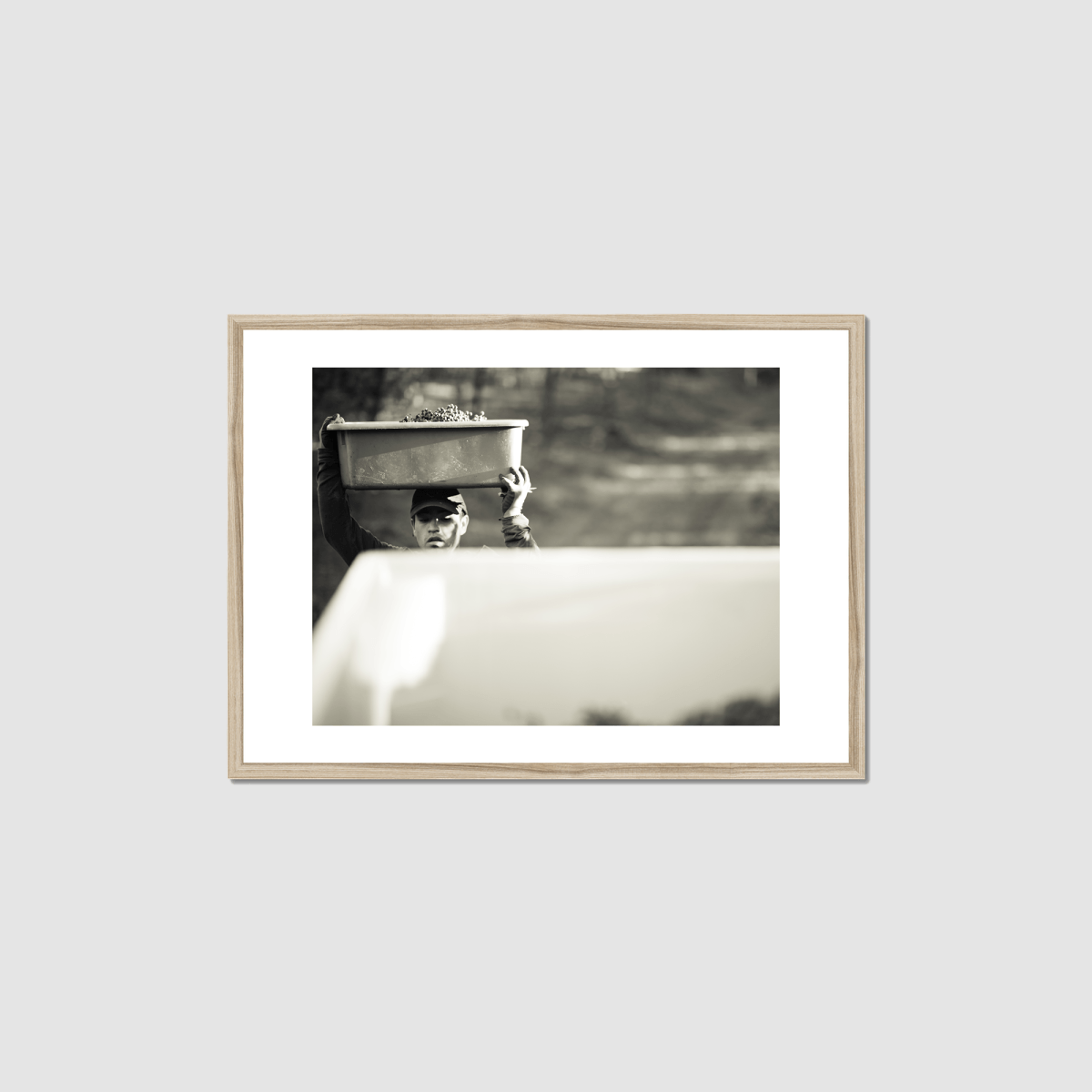 Harvest Morning Framed Print