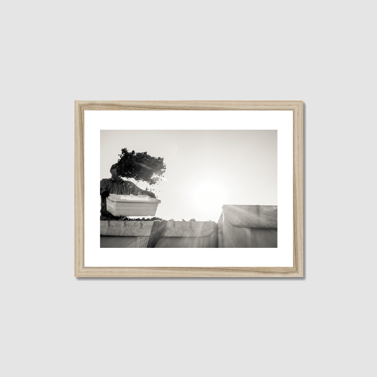 In Flight Framed Print