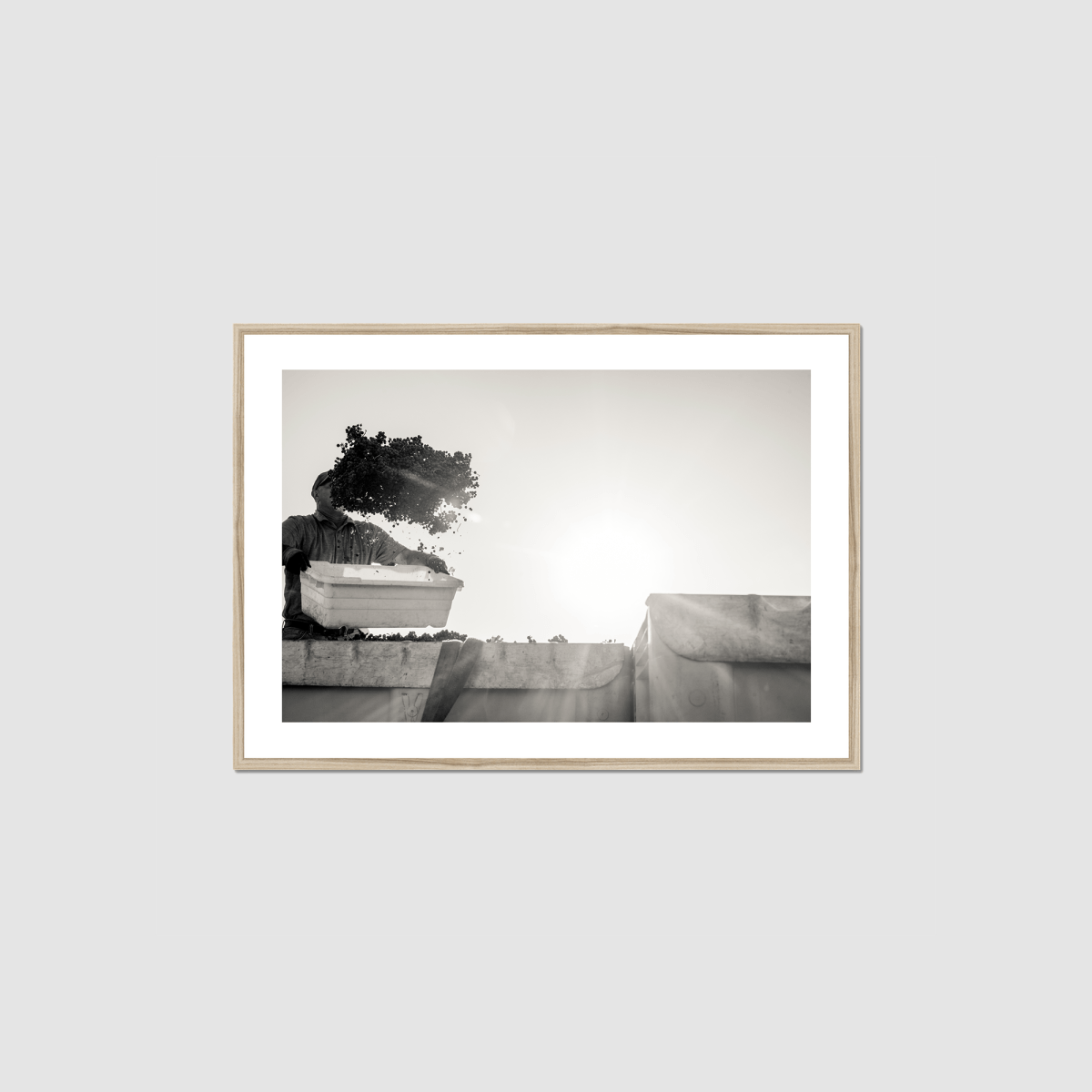 In Flight Framed Print