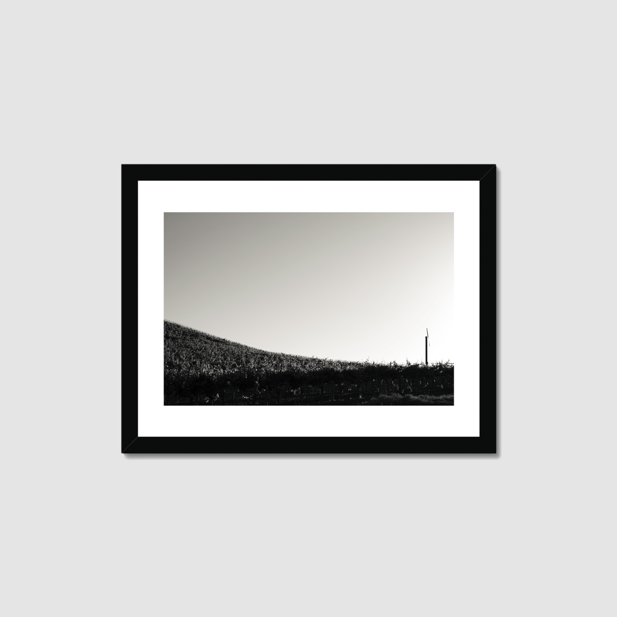 One Fan Framed Print