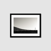 Thumbnail for One Fan Framed Print