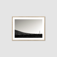 Thumbnail for One Fan Framed Print