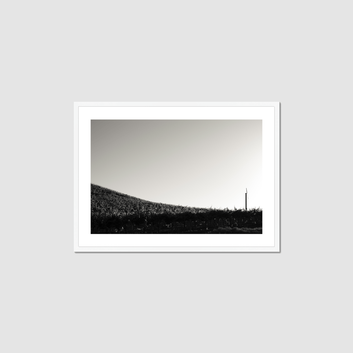 One Fan Framed Print
