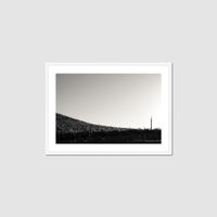 Thumbnail for One Fan Framed Print