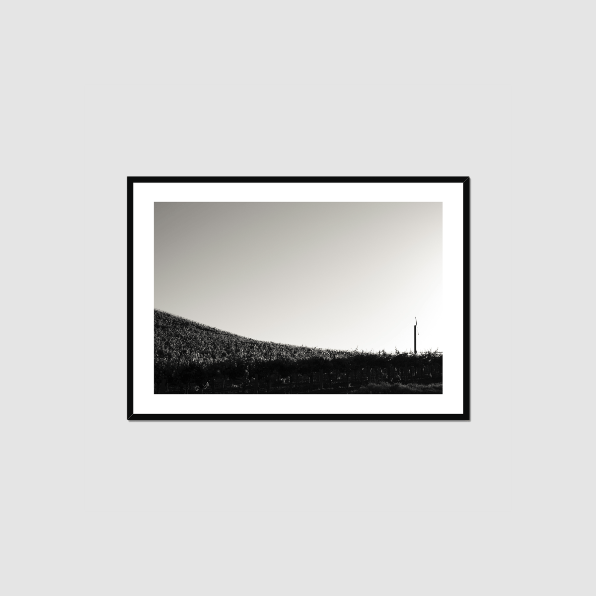 One Fan Framed Print