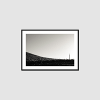 Thumbnail for One Fan Framed Print
