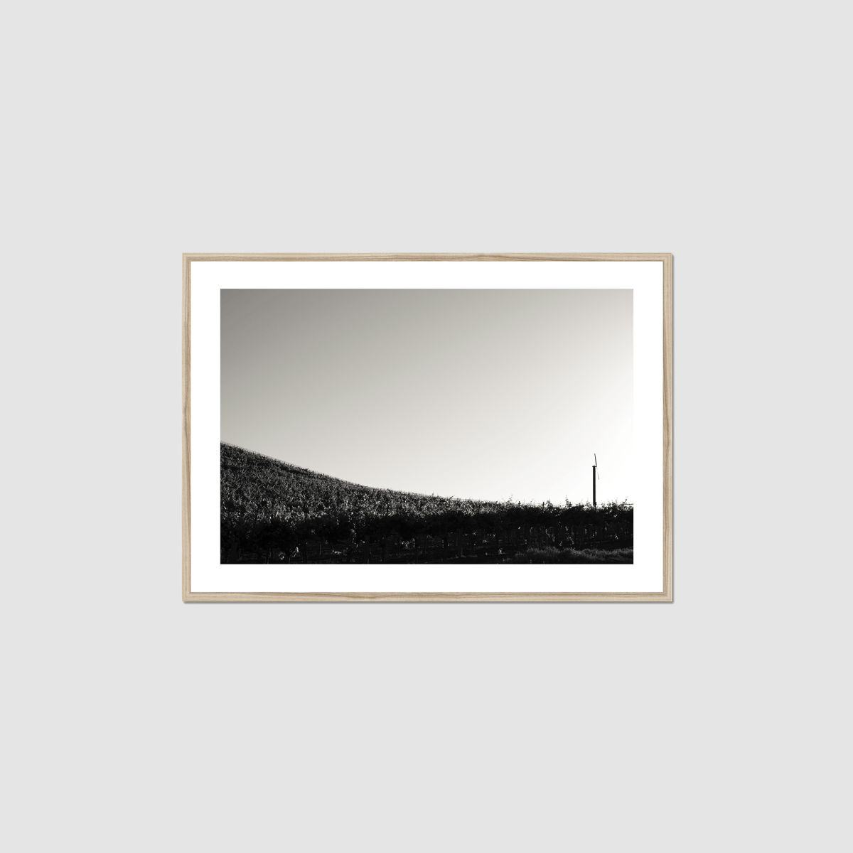 One Fan Framed Print