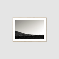 Thumbnail for One Fan Framed Print