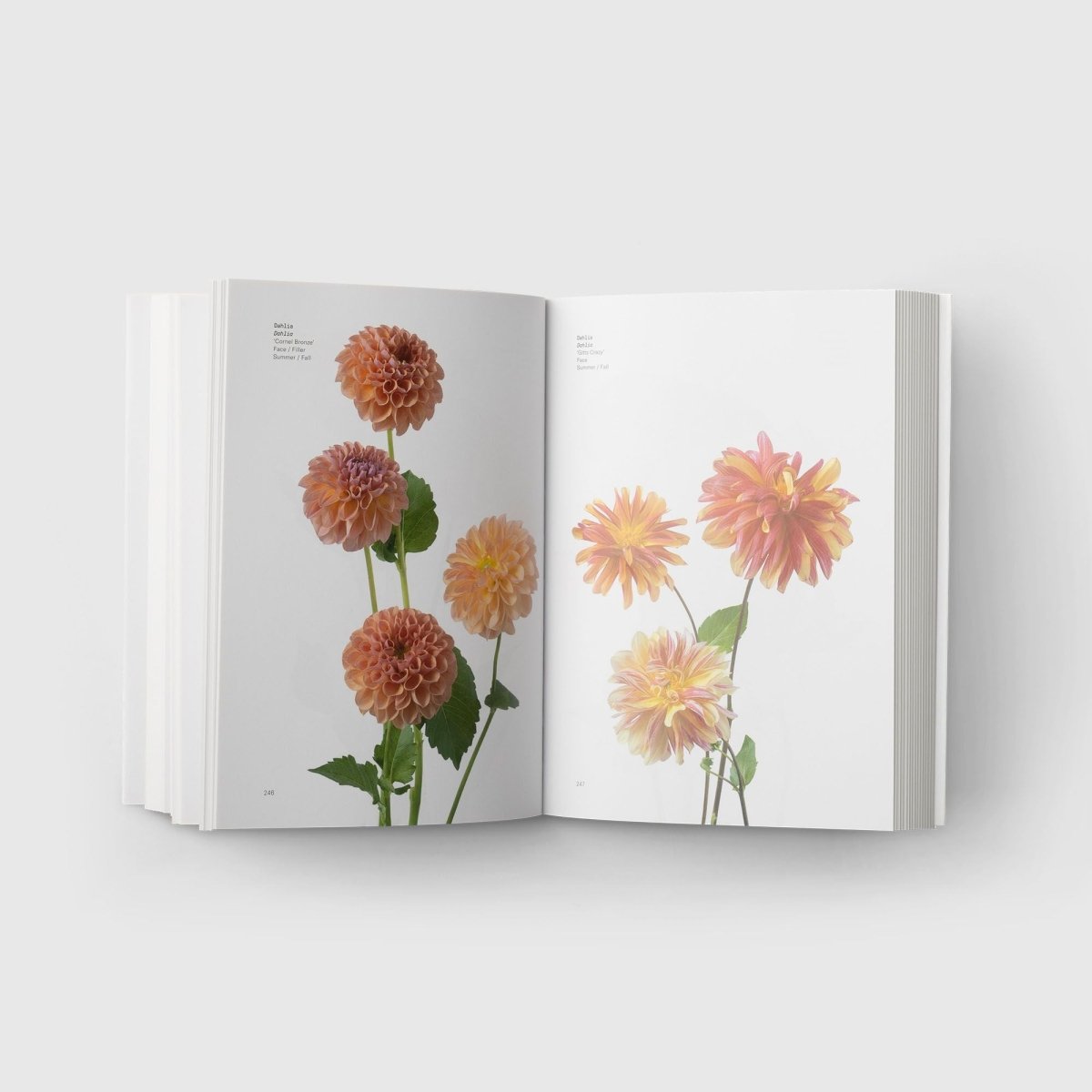 Flower Color Guide Book - Autotype
