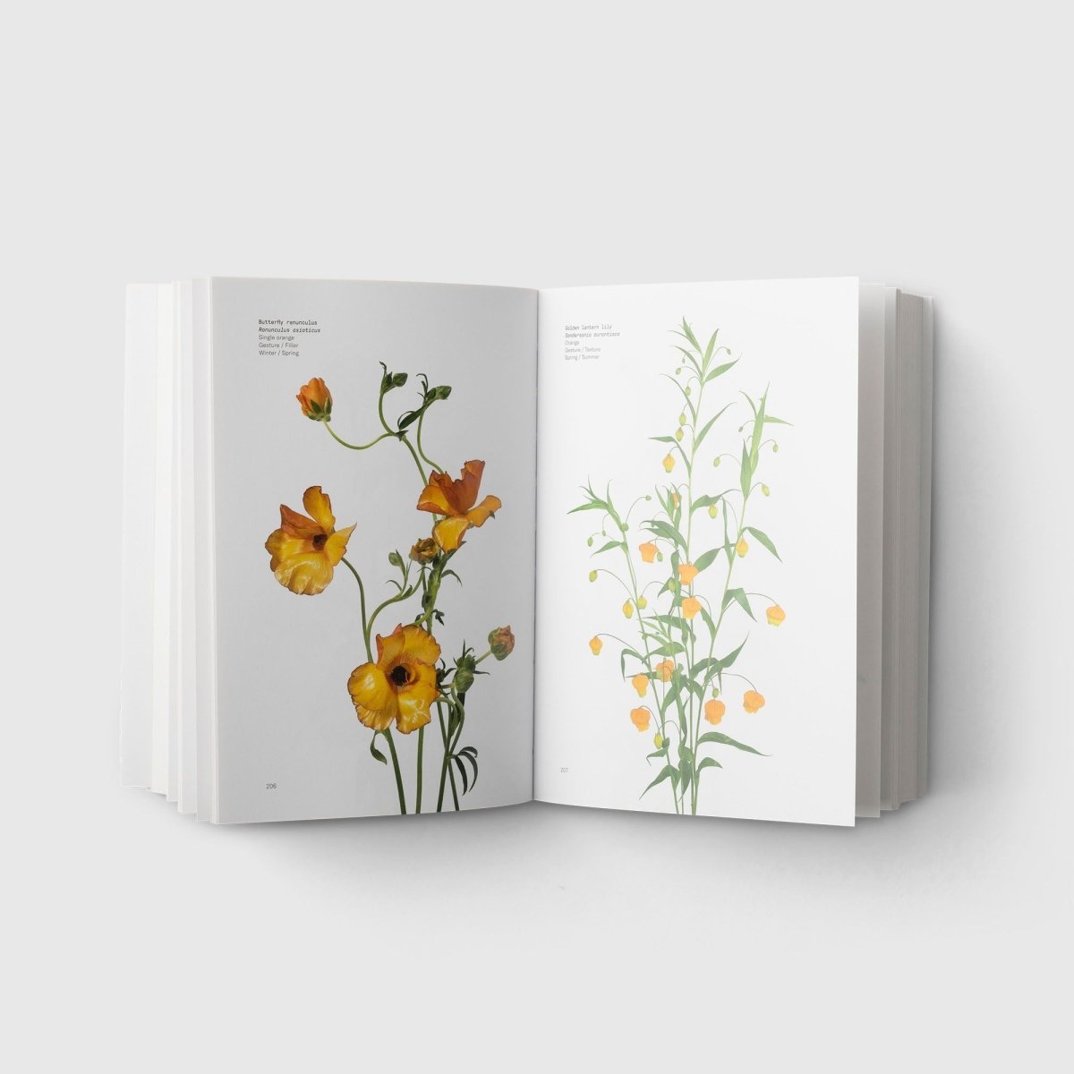 Flowercolor Guild NEW Flower Guide Book - Autotype – Autotype