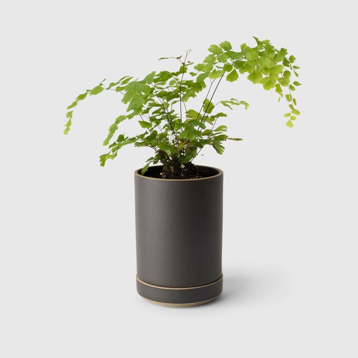 Tall Planter - Autotype