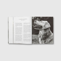 Thumbnail for The Golden Retriever Photographic Society - Autotype